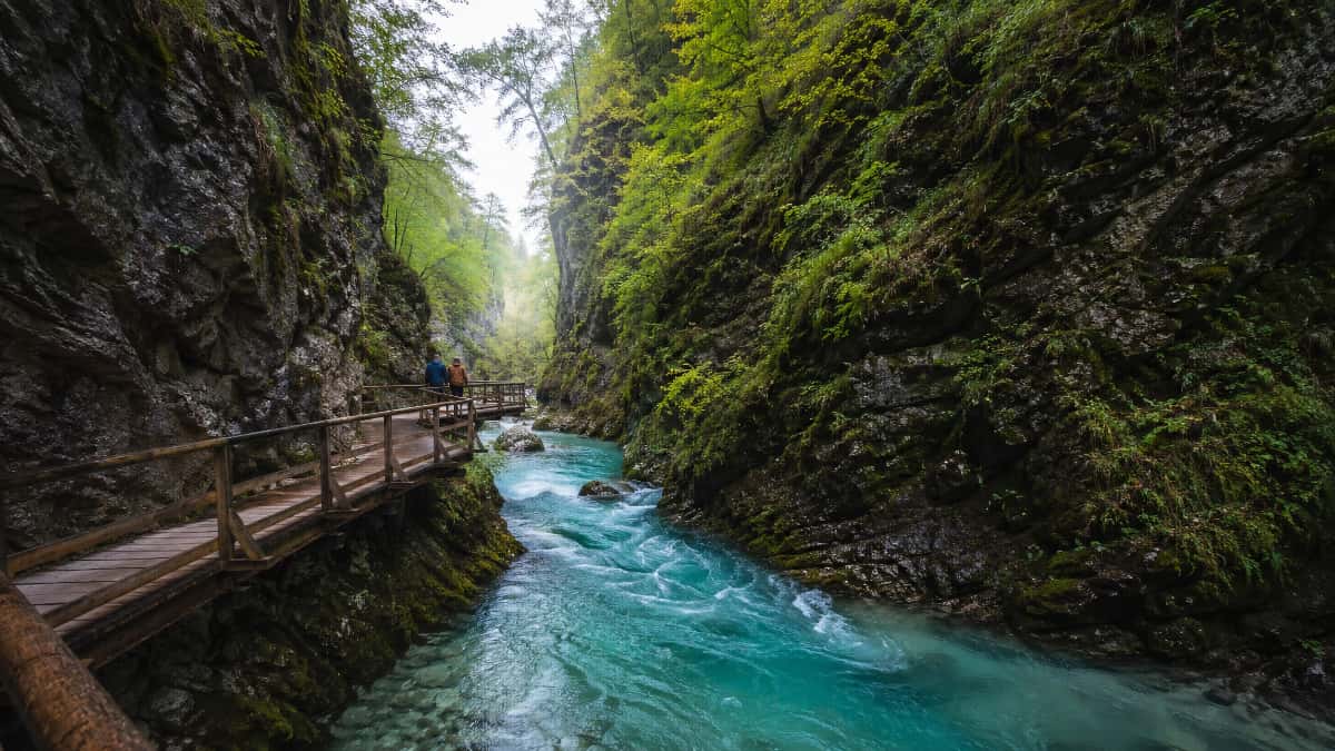 Les gorges de Vintgar en Slovénie : passerelles en bois au-dessus d'une eau turquoise encaissée entre les rochers